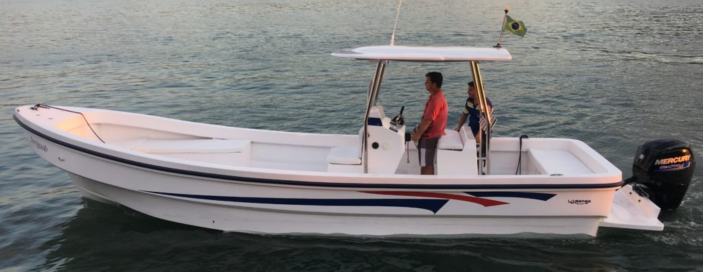 Panga 260 - Pesca - T-top